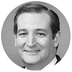 Senator Ted Cruz image